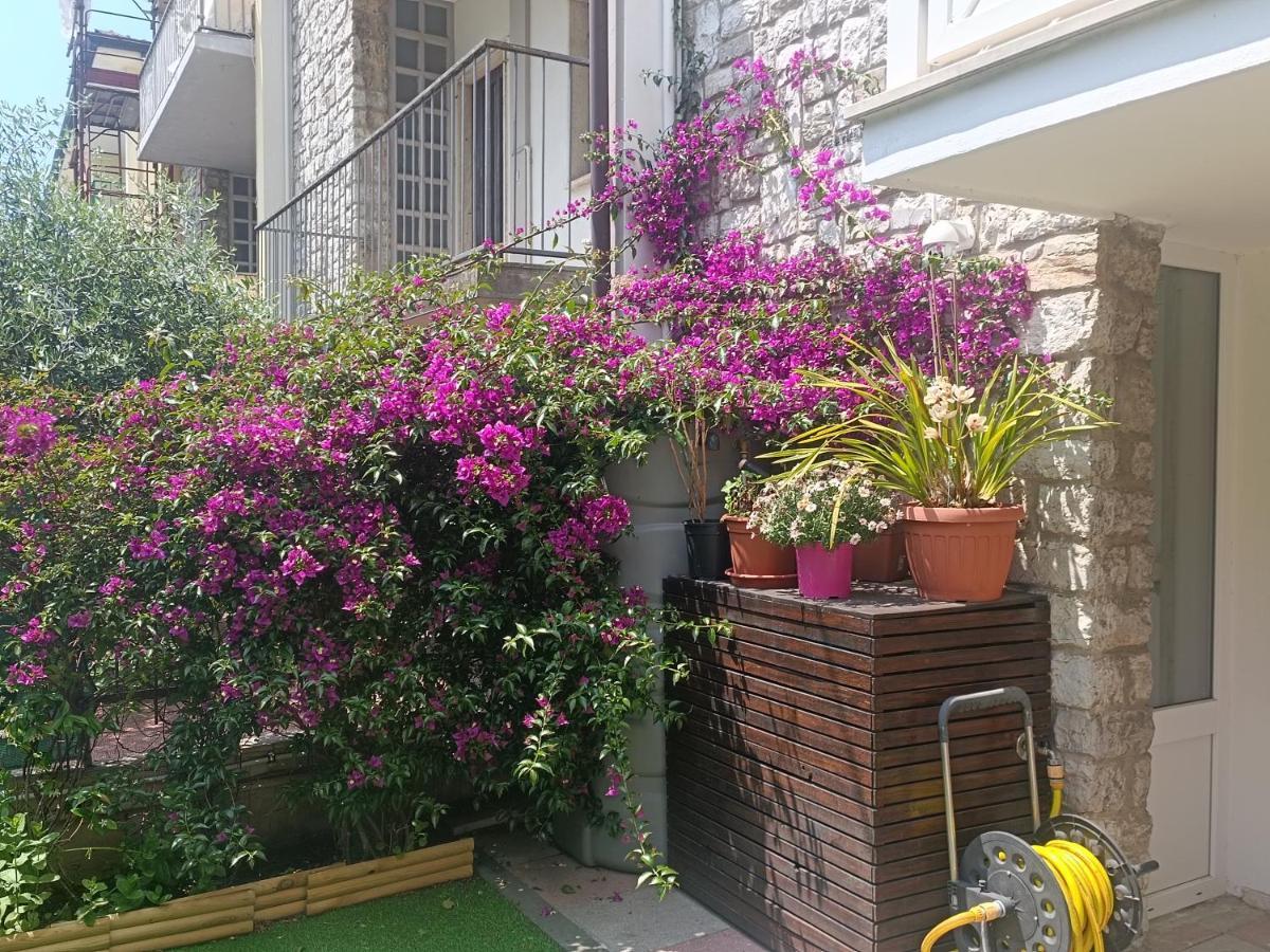 Il Don Minzoni 98 "Casa Vacanze" Lido di Camaiore Extérieur photo