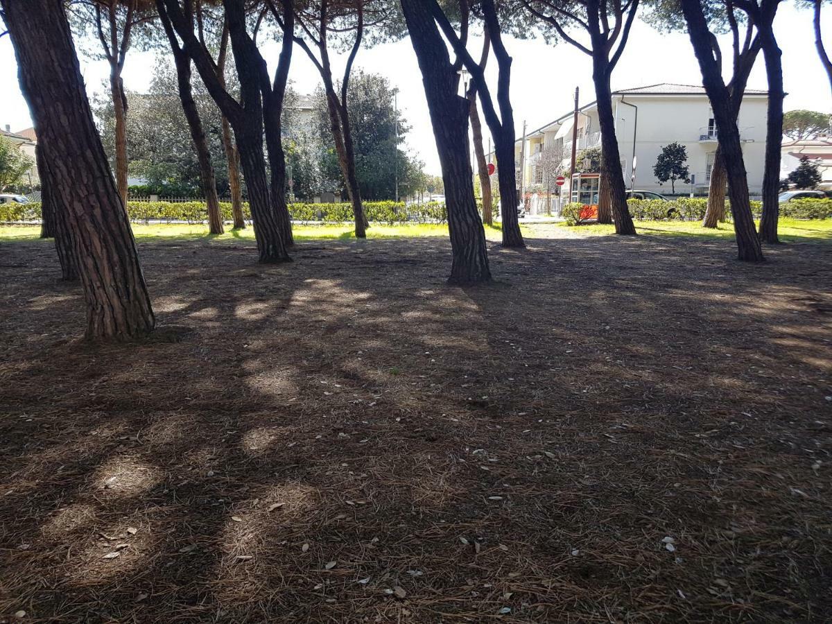 Il Don Minzoni 98 "Casa Vacanze" Lido di Camaiore Extérieur photo